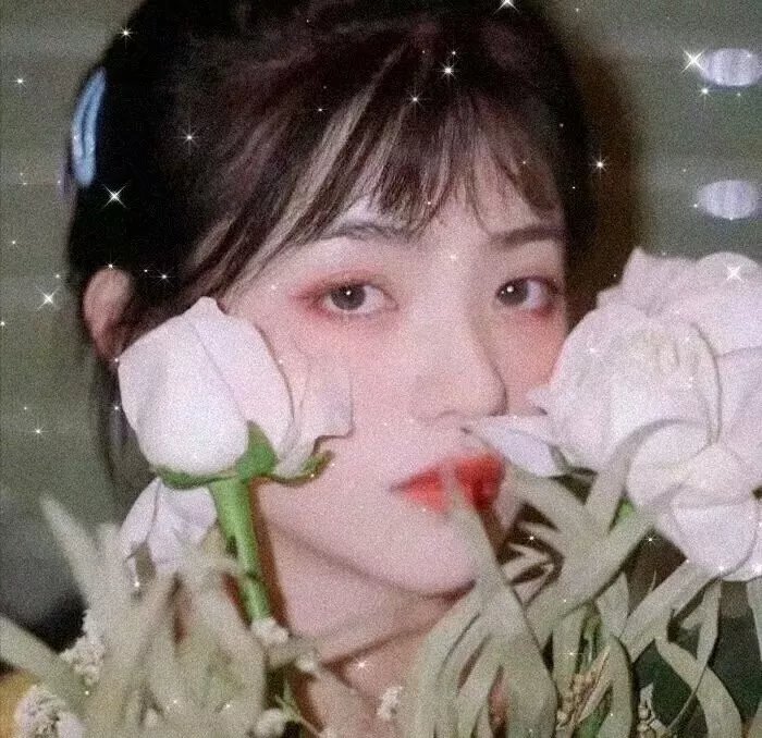 听风的歌